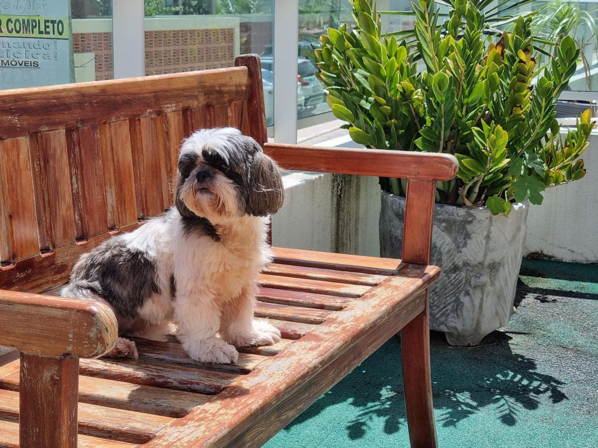 Apartamento Garden - Pet Friendly Barra de São Miguel Buitenkant foto